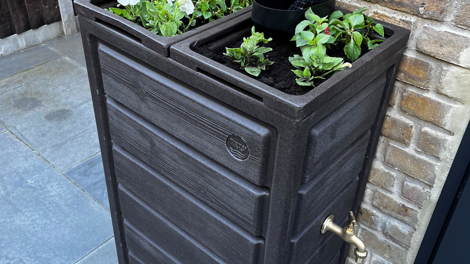 CCRM planter 1